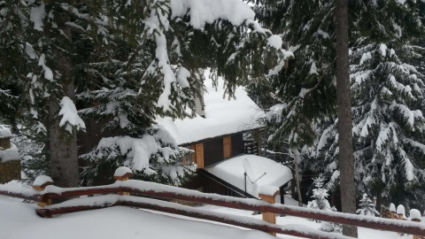 Apartmani TRI SRCA