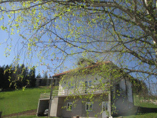 Vila Borovi - Zdravlje Vila Borovi - Zdravlje