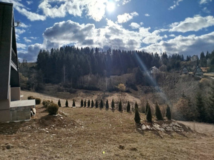 ZLATAR EYES