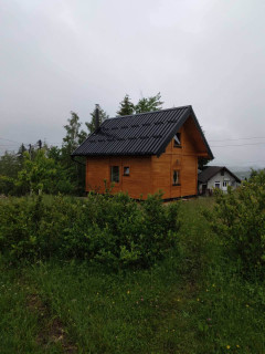 Brvnara Srna